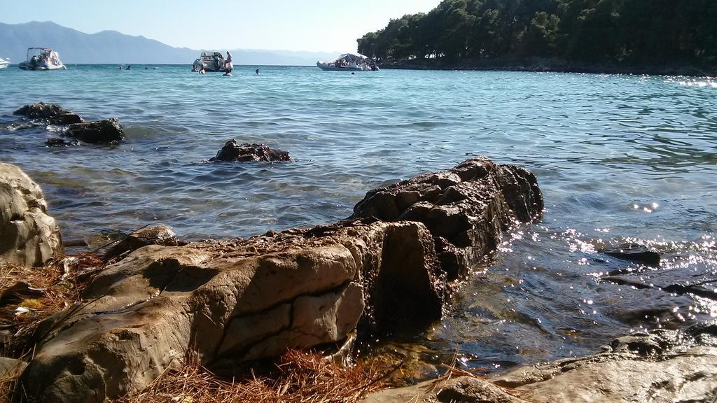 Holiday House Popovic Sućuraj Екстериор снимка