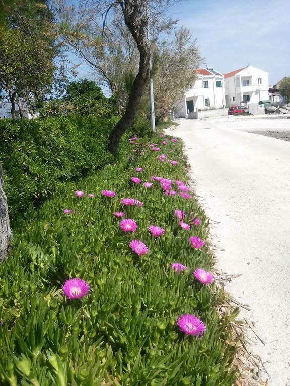 Holiday House Popovic Sućuraj Екстериор снимка